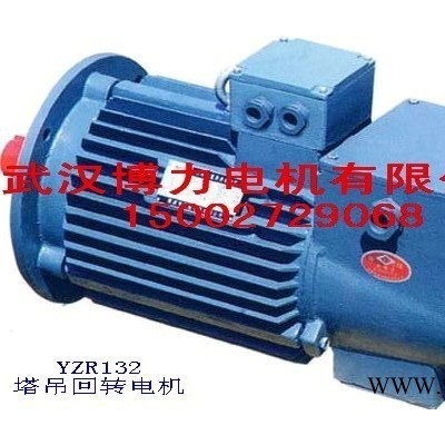 YZR225M-8-22KW起重电机供应图2