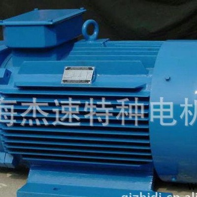 【现货】YZR冶金起重电机 三相绕线转子异步起重电机 YZR160-6图3