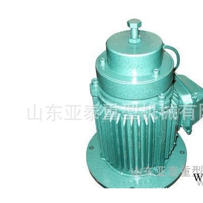 南京起重电机总厂网站 南京起重电机总厂YDEZ80L 0.8KW电磁电动机图2