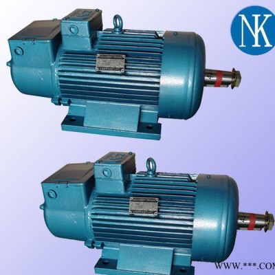 起重电机 起重用绕线式转子电机JZR2-41-8 10.5KW单轴图3
