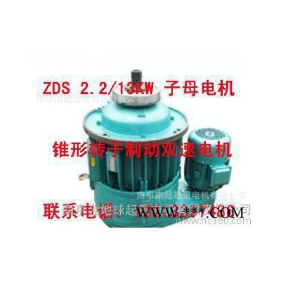 南京起重电机 锥形转子制动电机  双速电机ZDS2.2/13KW  子母电机图2