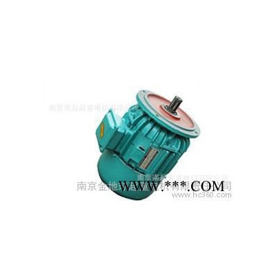 起重电机非标系列  ZDY 12-8 0.2KW图3