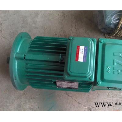 **YZ180L-6  15KW冶金起重电机   单轴电机图2