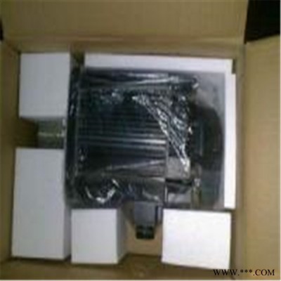 艾默生 142U3C305BARAA165240伺服电机售后完善图4