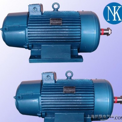 JZR2-22-6 6.3KW/380V治金起重专用电动机 起重电机 上海能垦起重电机图1