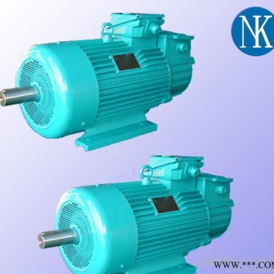 JZR2-22-6 6.3KW/380V治金起重专用电动机 起重电机 上海能垦起重电机图3