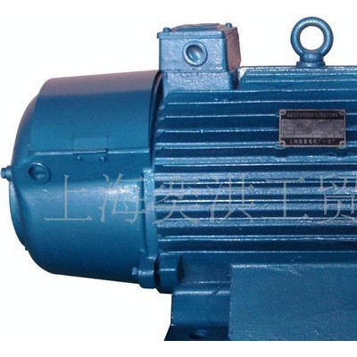 JZ2冶金起重电机 JZ2-21-6双轴图2
