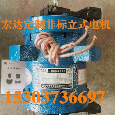 宏达 立式电机 YZUL-3-4 0.18KW 立式振动电机图2