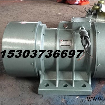 供应宏达大功率7.5KW三相振动电机HDJ-100-6 YZS-160-6 14kw图4