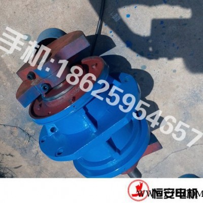 供应振动电机_HL侧板振动电机_新乡振动电机生产厂家-恒安振动图2