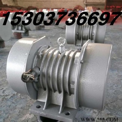 山西供应宏达YZQ-50-6 3.7KW振动电机 yzq-75-6 5.5kw三相异步振动器 yzq振动电机图2