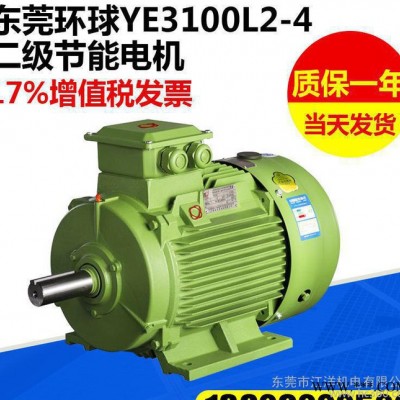 力矩电机 YE3100L2-4二级节能电动机 三相异步防爆振动电机定制图2