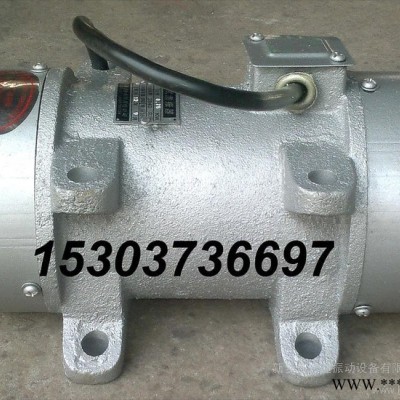 供应ZW-0.25混凝土振动器 平板振动马达ZF110-50  1.1KW ZW振动电机图4