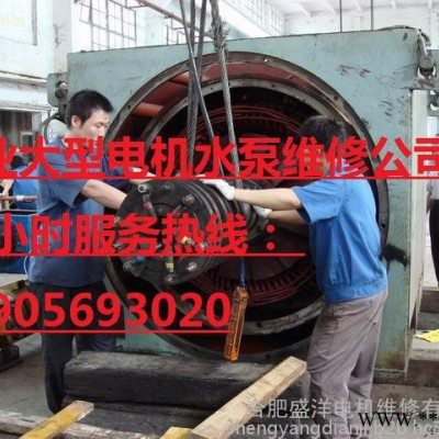 合肥塔吊电机修理 合肥伺服电机维修 合肥伺服电机修理 合肥步进电机维修 合肥步进电机修理 合肥发电机维修图5