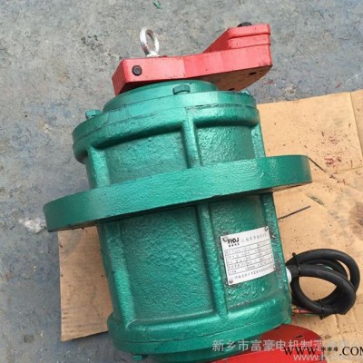 定做立式振动电机YZUL-5-4旋振筛专用立式振动电机0.2图2