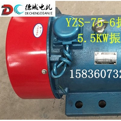 德诚电机 ZDS-75-6振动电机5.5KW振动电机厂家图2