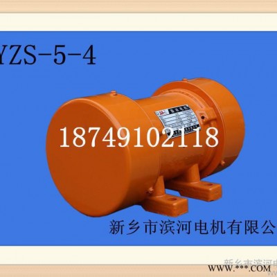 供应滨河YZS振动电机图3