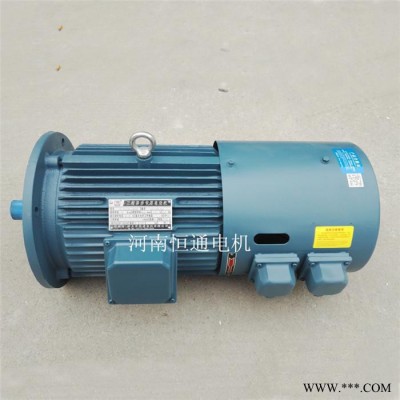 千业牌 力矩电机  YLJ100-5N.M-2出口力矩电机选型图2