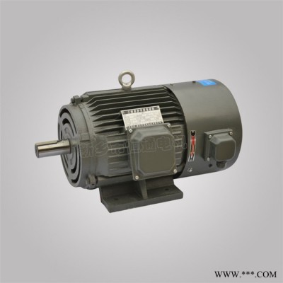 千业牌 嘉兴力矩电机 YLJ160-100-6 先锋力矩电机 生产厂家 YLJ160-80-8图5