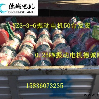 结实耐用 ZDS-25-6   1.5KW振动电机ZDS-40-6振动电机图4