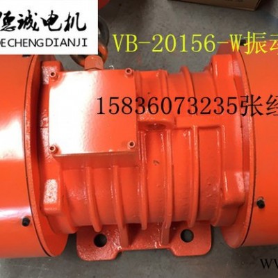 结实耐用 ZDS-25-6   1.5KW振动电机ZDS-40-6振动电机图2