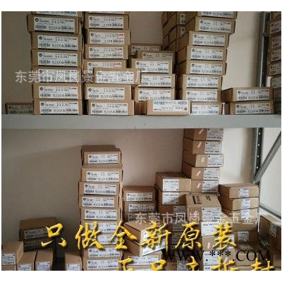 全新原装美国AB罗克韦尔伺服电机机架2094-PRS1图2