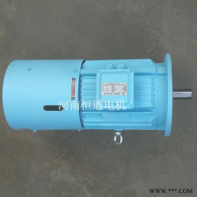 千业Y132-6E长期堵转力矩电机Long-Term Locked-Roto 3- phase torque motor图8