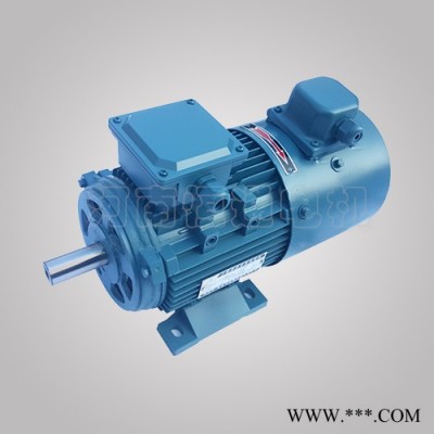 千业牌 南京力矩电机YLJ90-4/6 YLEJ112S-6 三相力矩电动机220V 质量稳定图3