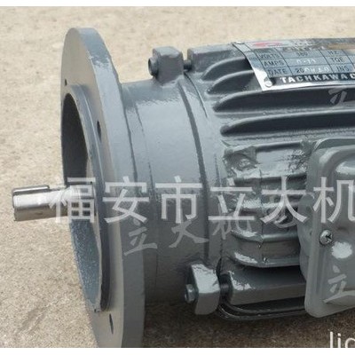 YLJ100L-6-6、力矩调速电机、力矩电机60公斤6极图2