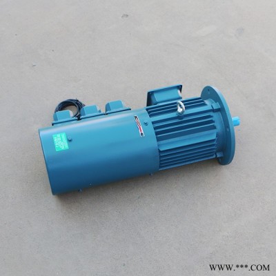 千业牌 变频电机 YP-50-0.55-4 变频制动电机 编码器电机图2