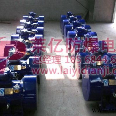 供应安阳莱亿BZD140-6防爆振动电机图3