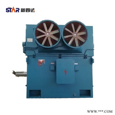 新四达YPKK355KW 6极  6000V高压变频电机 YPKK变频电机 高压电机图4