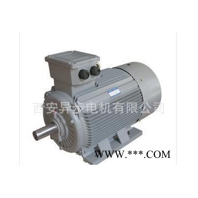 西玛变频电机YJTG315-8 110KW图1