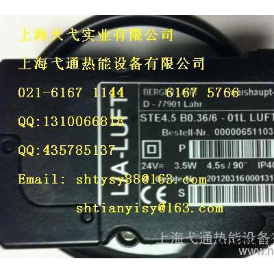 供应weishaupt威索STE4.5 B0.36/6-01L GAS伺服电机图2