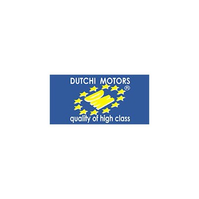 Dutchi辊道电机