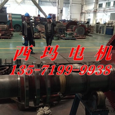 YVF2-355M1-10 A 110KW IP55 5-100HZ注塑机等机械设备用变频电机图3