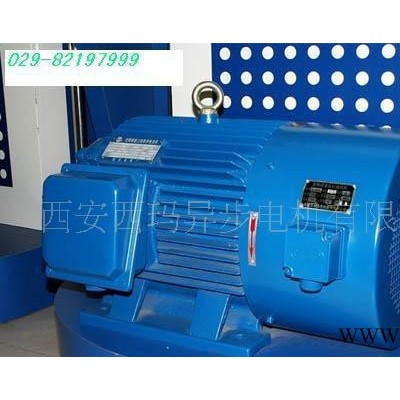 西安泰富西玛YJTG180L-6 15KW变频电机水泵专用图2