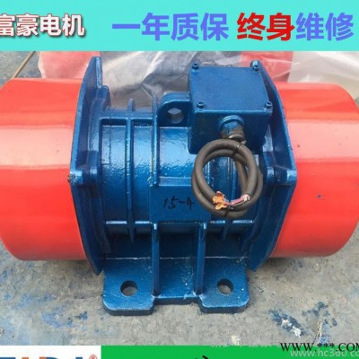 洗煤振动电机 VB-100758-W **耐用型激震源八极图3