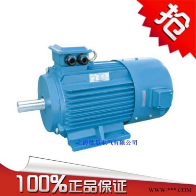 3KW变频电机Y2VF100L-2三相变频调速异步电动机380V变频图2