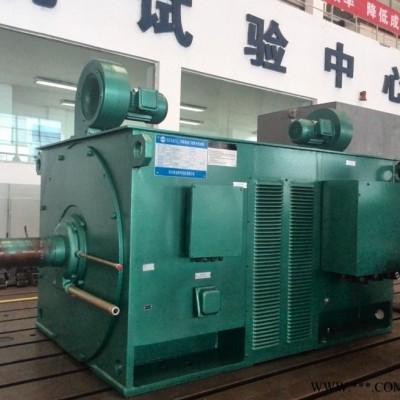 YJTF4503-4-800KW低压大功率变频电机修理图2