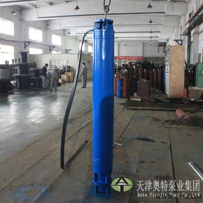 YQS250潜水变频电机_电机功率18.5-185kw_潜水电机图2