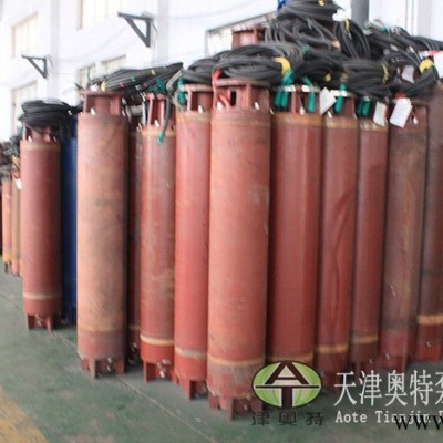 YQS250潜水变频电机_电机功率18.5-185kw_潜水电机图3