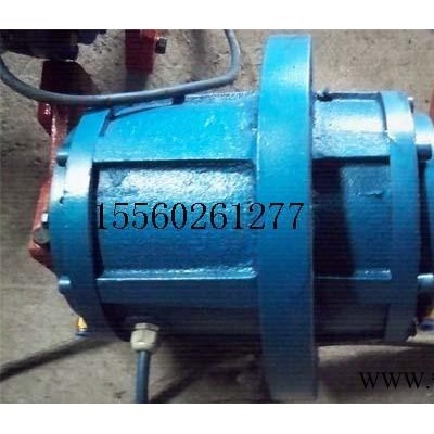 YZUL-10-4立式振动电机、旋振筛专用电机、带中法兰电机图2