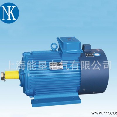 供应上海能垦YZP250M2-4 55KW起重变频电机 欢迎来电图1
