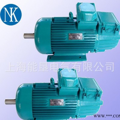 供应上海能垦YZP280S-10 37KW起重变频电机 品质保证图3