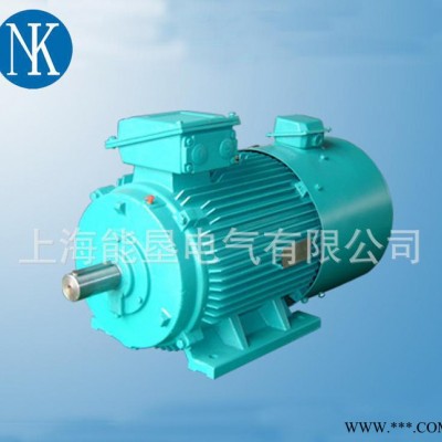 供应上海能垦YZP280S-10 37KW起重变频电机 品质保证图1