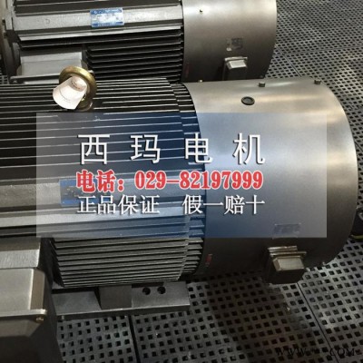 现货销售YVFE3-200L-6新型节能变频电机图片图3