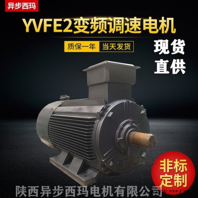 YVFE2-315L2-4/YVF2-315L2-4 200KW西玛牌变频电机质量保证图4