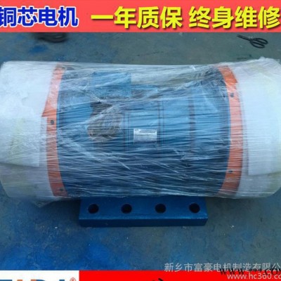 直销XVM-160-4振动电机10功率一年质保终身维修图3