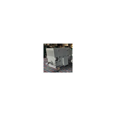 原西安电机厂 YJTKK4503-2/630KW/6000V/B3卧式安装/F级绝缘 变频电机图3